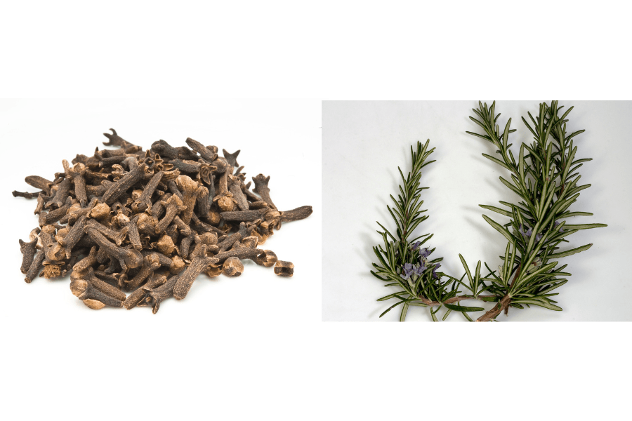 CLOVES & ROSEMARY HAIR BUTTER (8 OZ) - Nerabel Beauty